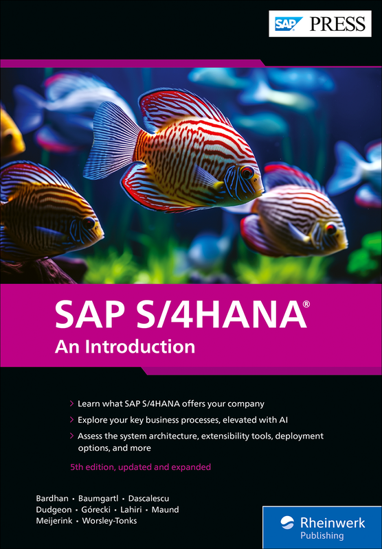 SAP S/4HANA - An Introduction